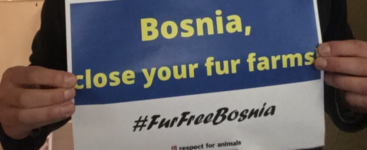 Urgent action needed in Bosnia