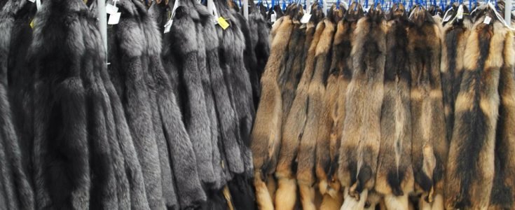 2023 begins with the California fur ban