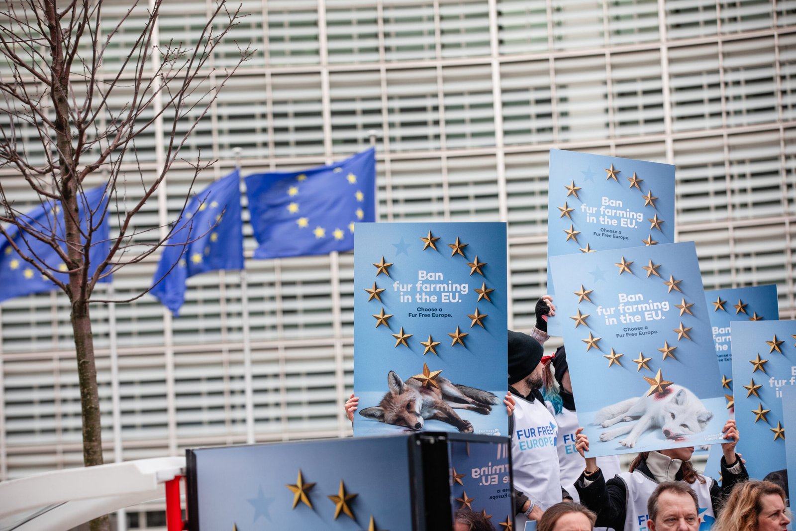 Brussels Protest: European Commission Urged to Deliver a Fur Free Europe