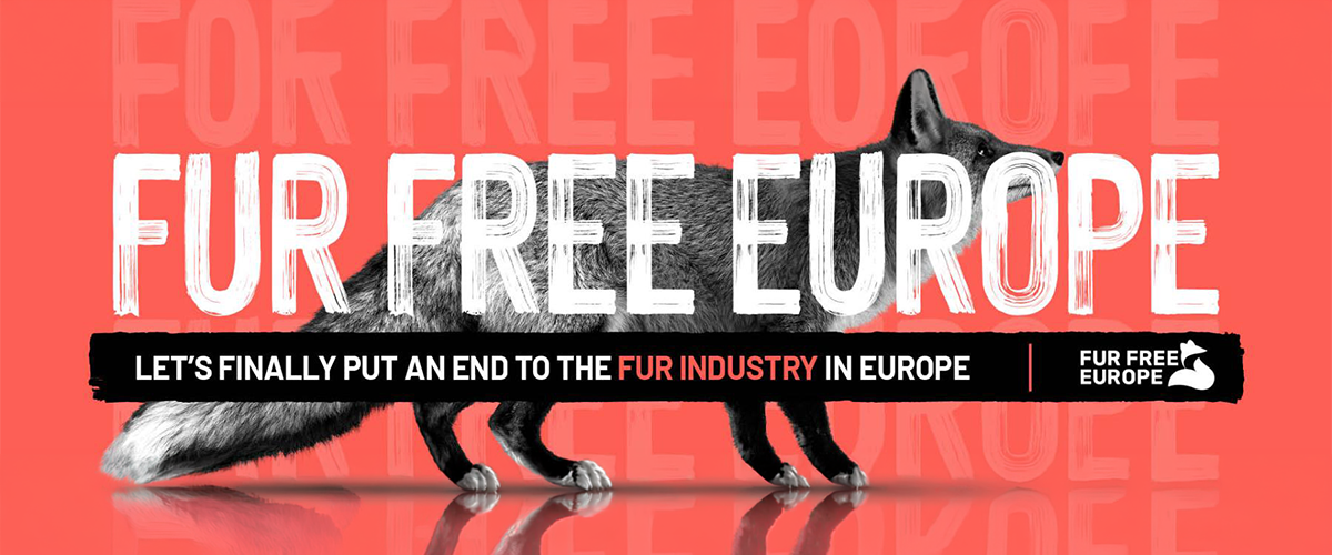 Stop fur farming in Europe